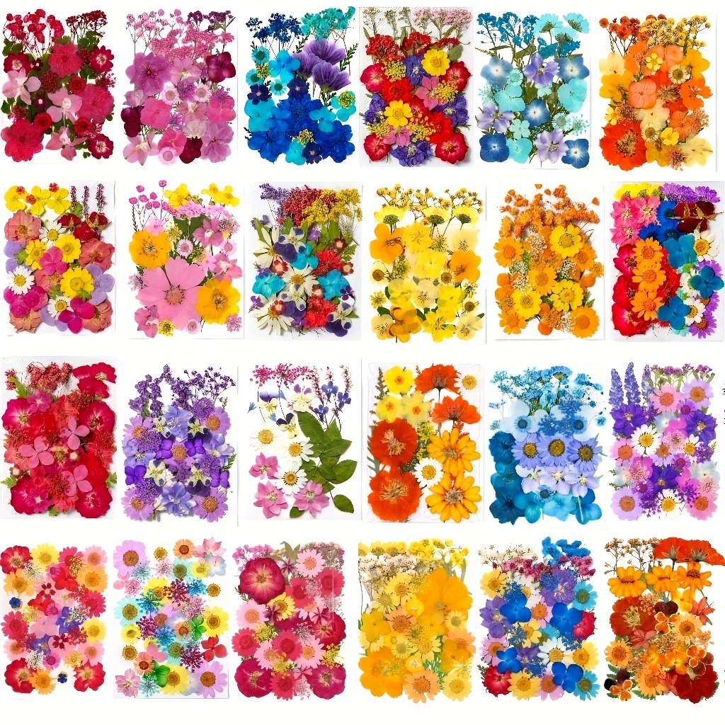 Art Craft For Christmas - 500pcs of Random Materials for Pressed