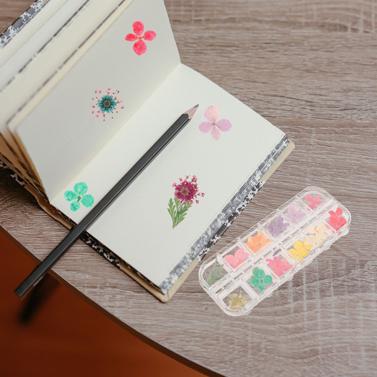 3 Box Natural Dried Flower Cra - Art Craft Notebook ulasan dan harga