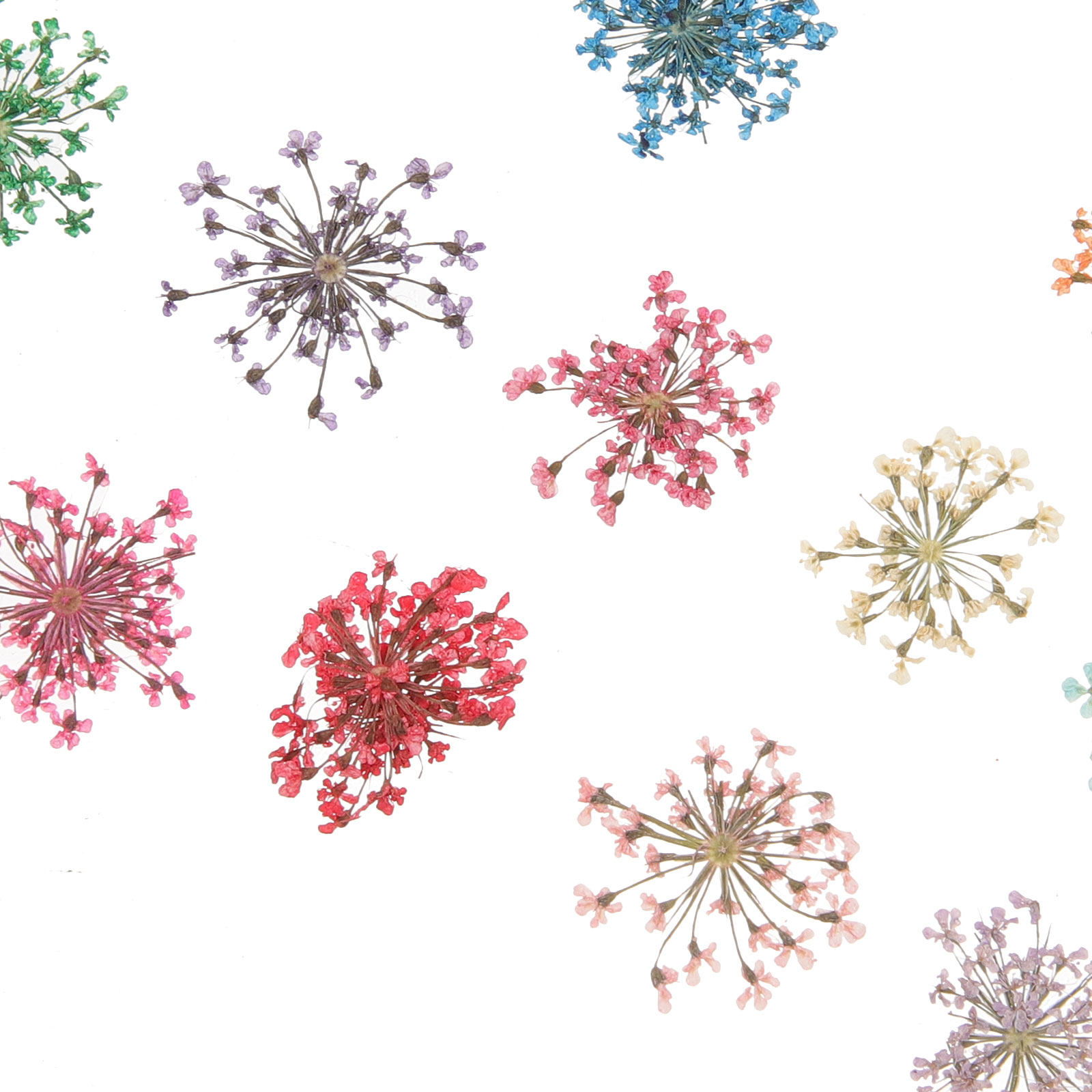 3 Box Natural Dried Flower Cra - Art Craft Notebook ulasan dan harga