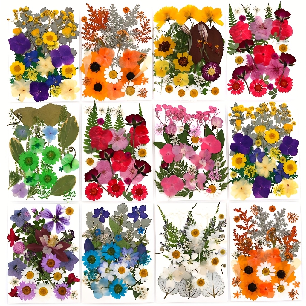 500pcs of Random Materials for - Art Craft For Christmas ulasan dan harga
