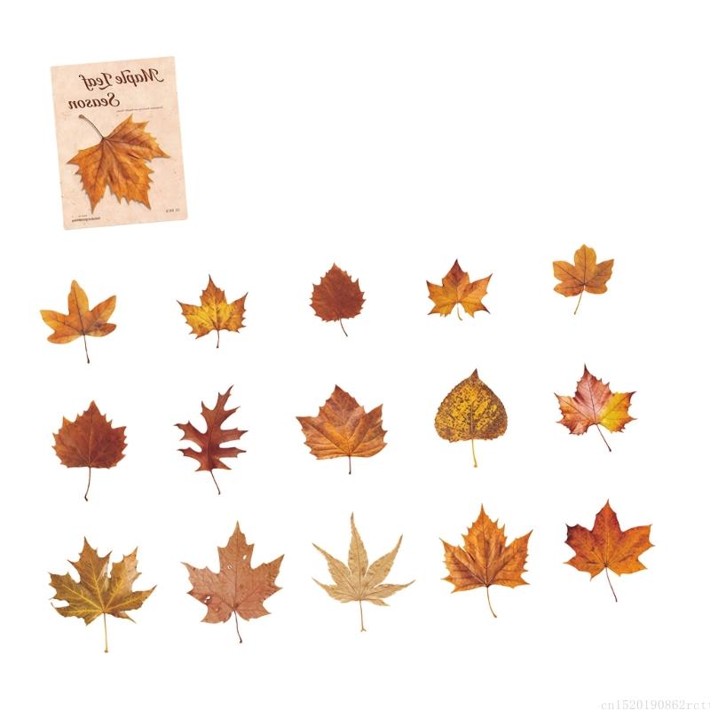 D5BB Theme PET Sticker for Kid - Art Craft Notebook ulasan dan harga